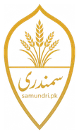 سمندری ڈاٹ پی کے