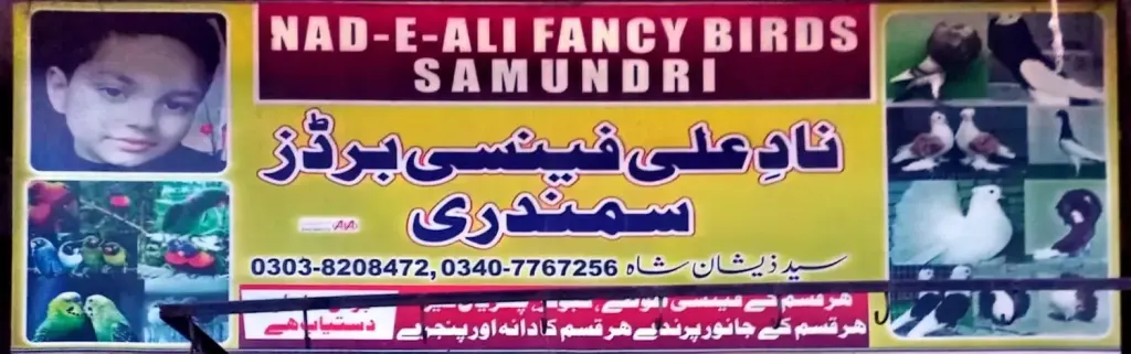 نادِ علی فینسی برڈز — پرندے / پنجرے، سرکلر روڈ اور نہر بازار، سمندری، سمندری