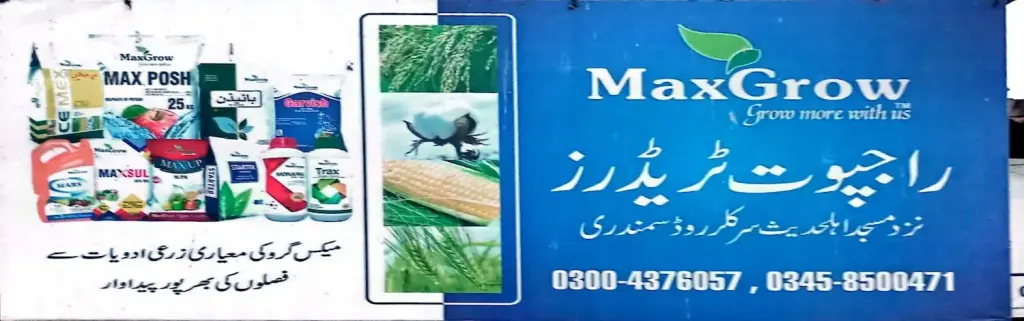 راجپوت ٹریڈرز — زرعی ادویات / کھاد / بیج، سرکلر روڈ اور نہر بازار، سمندری، سمندری