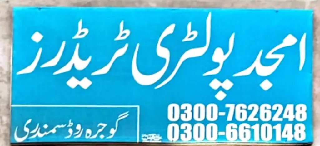 امجد پولٹری ٹریڈرز — پولٹری / ویٹرنری، گوجرہ روڈ، سمندری، سمندری