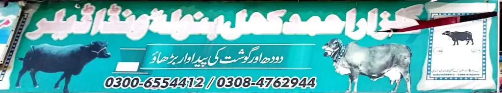 گلزار احمد کھل بنولہ ونڈا ڈیلر — ونڈا / فیڈ / دانہ، گوجرہ روڈ، سمندری، سمندری