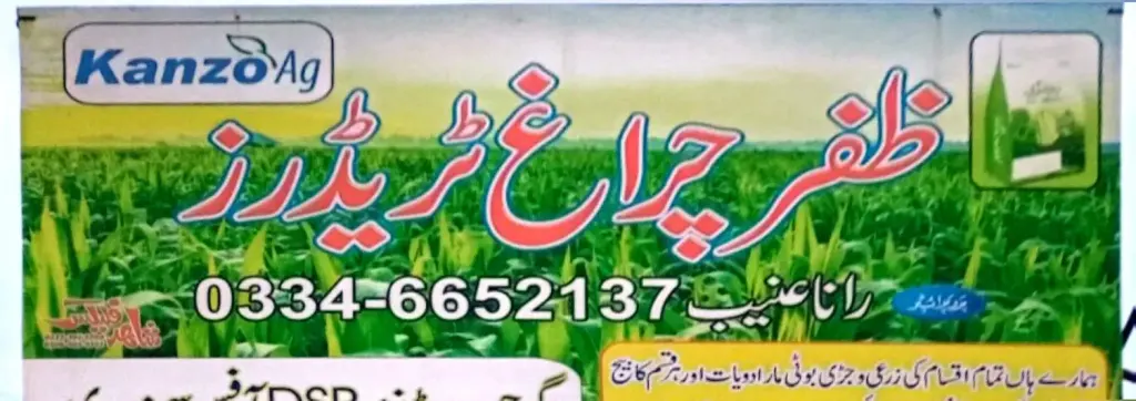 ظفر چراغ ٹریڈرز — زرعی ادویات / کھاد / بیج، گوجرہ روڈ، سمندری، سمندری